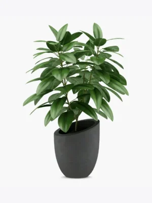 product-image-1_optimized
