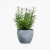 product-image-5_optimized